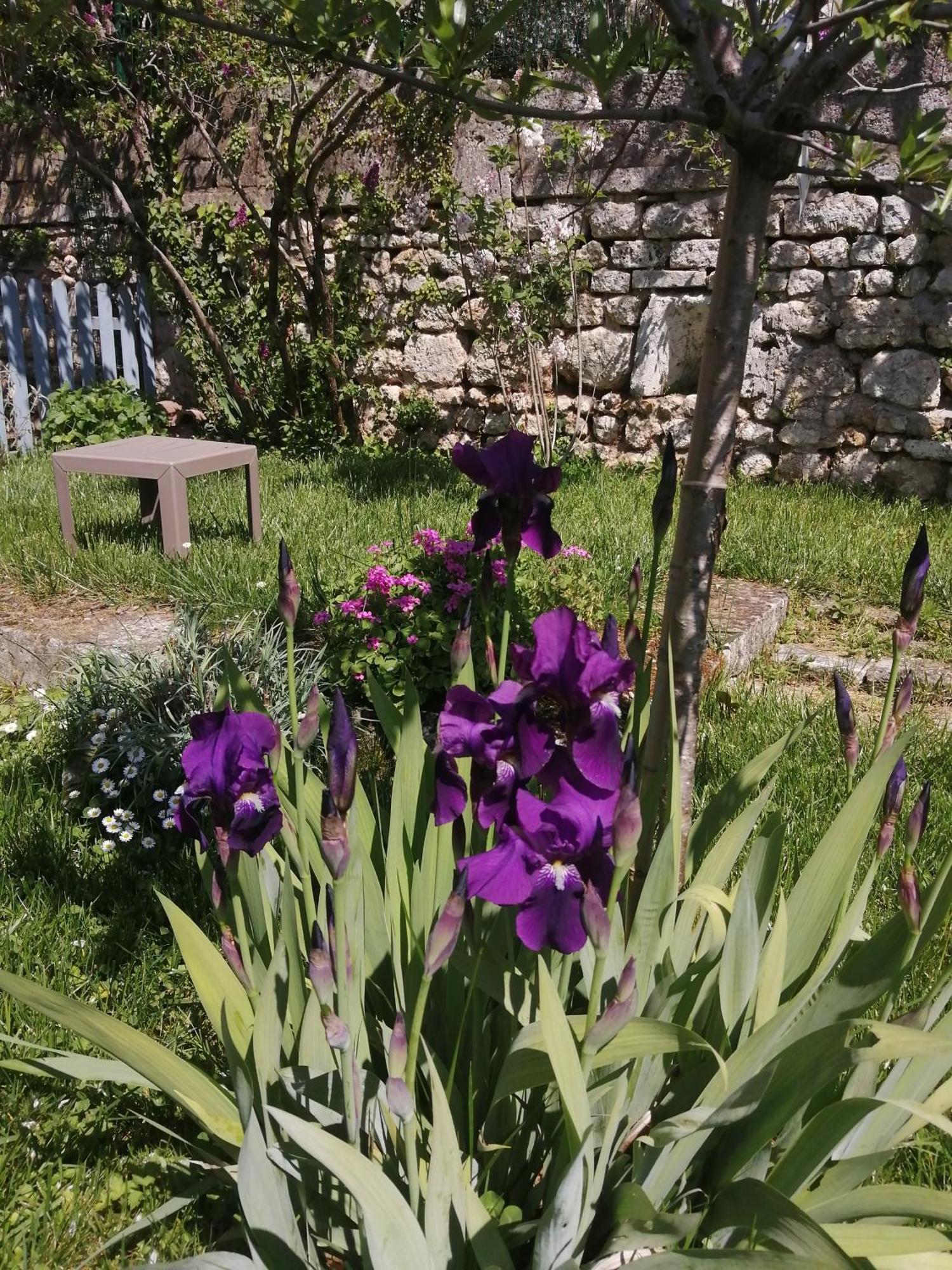Au Logis De Vechillot Bed and Breakfast Angoulême Exteriör bild
